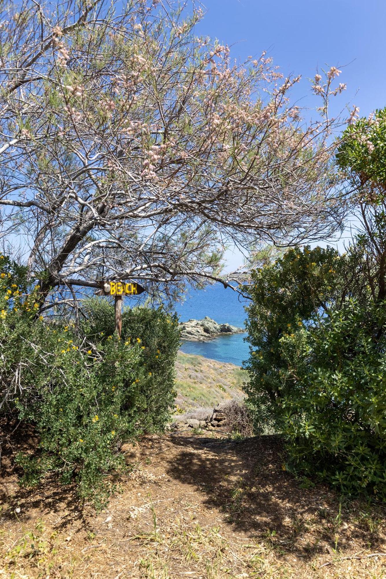 Aegean View - Seaside Apartment In Syros アゾリムノス エクステリア 写真